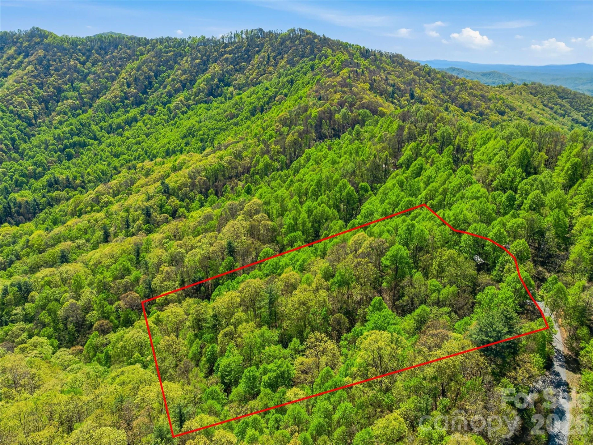 3167 Lumptown Road - Photo 23
