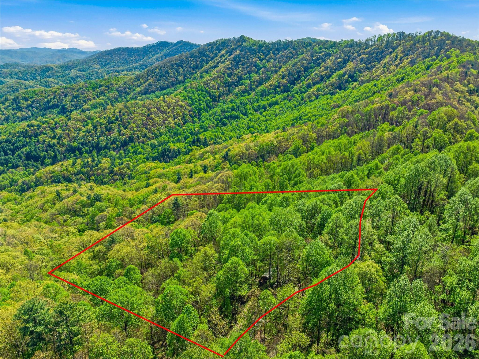 3167 Lumptown Road - Photo 25