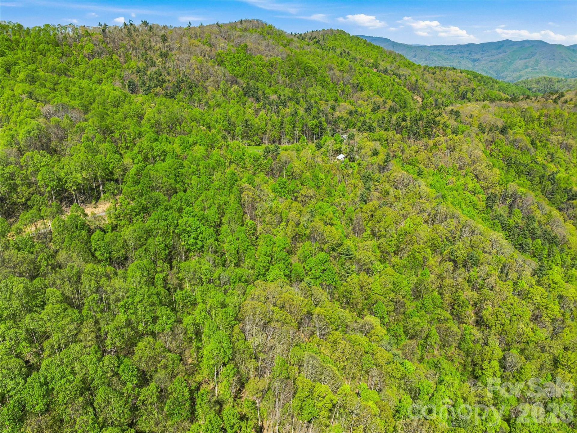 3167 Lumptown Road - Photo 32