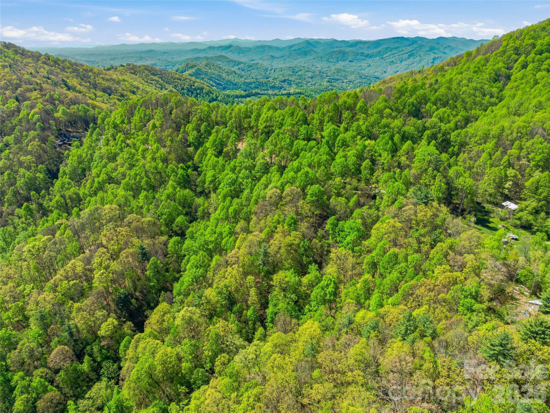 3167 Lumptown Road - Photo 34