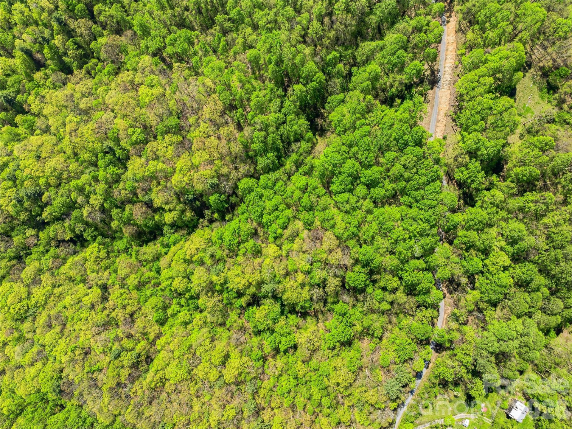 3167 Lumptown Road - Photo 35