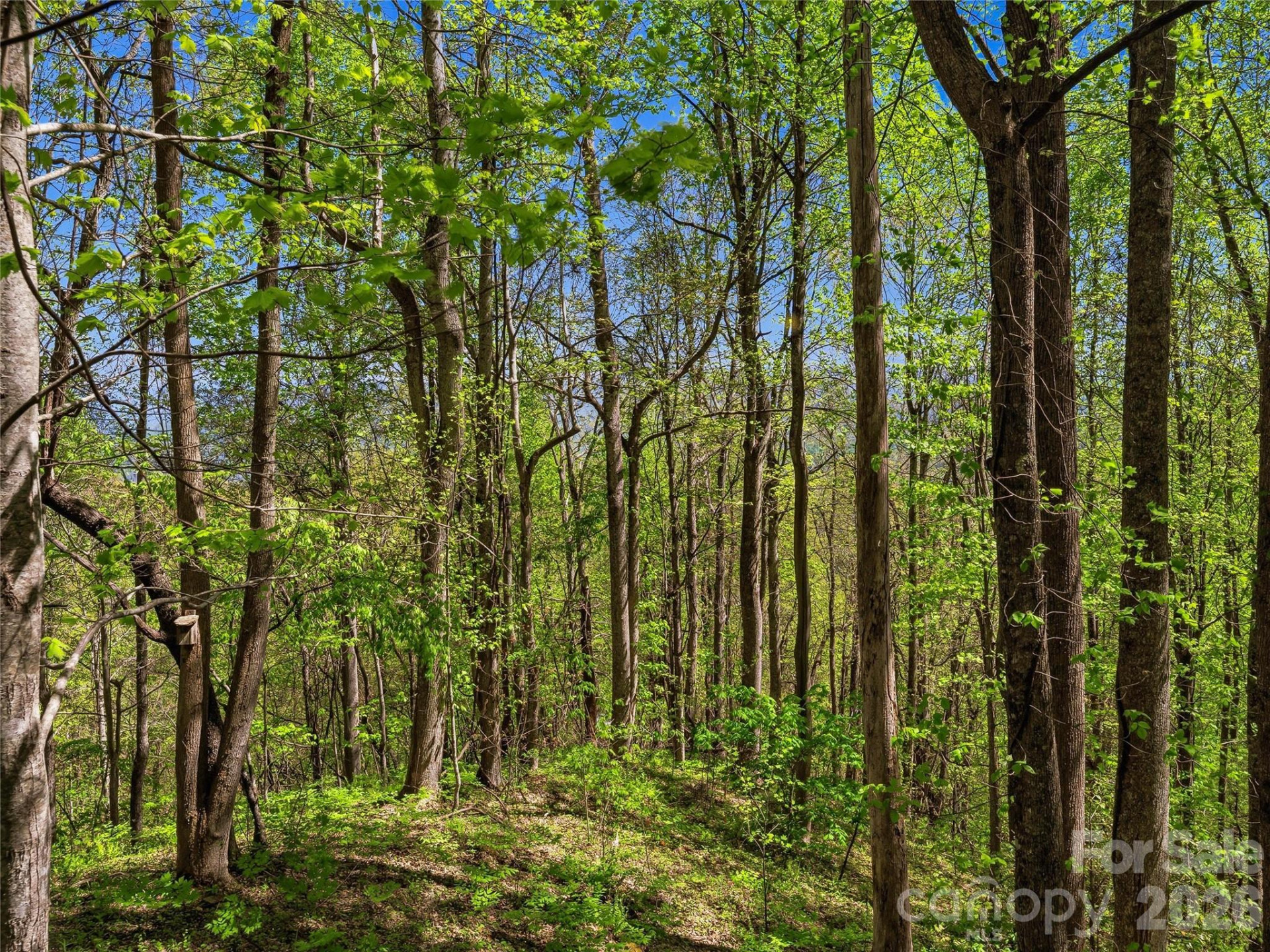 3167 Lumptown Road - Photo 37