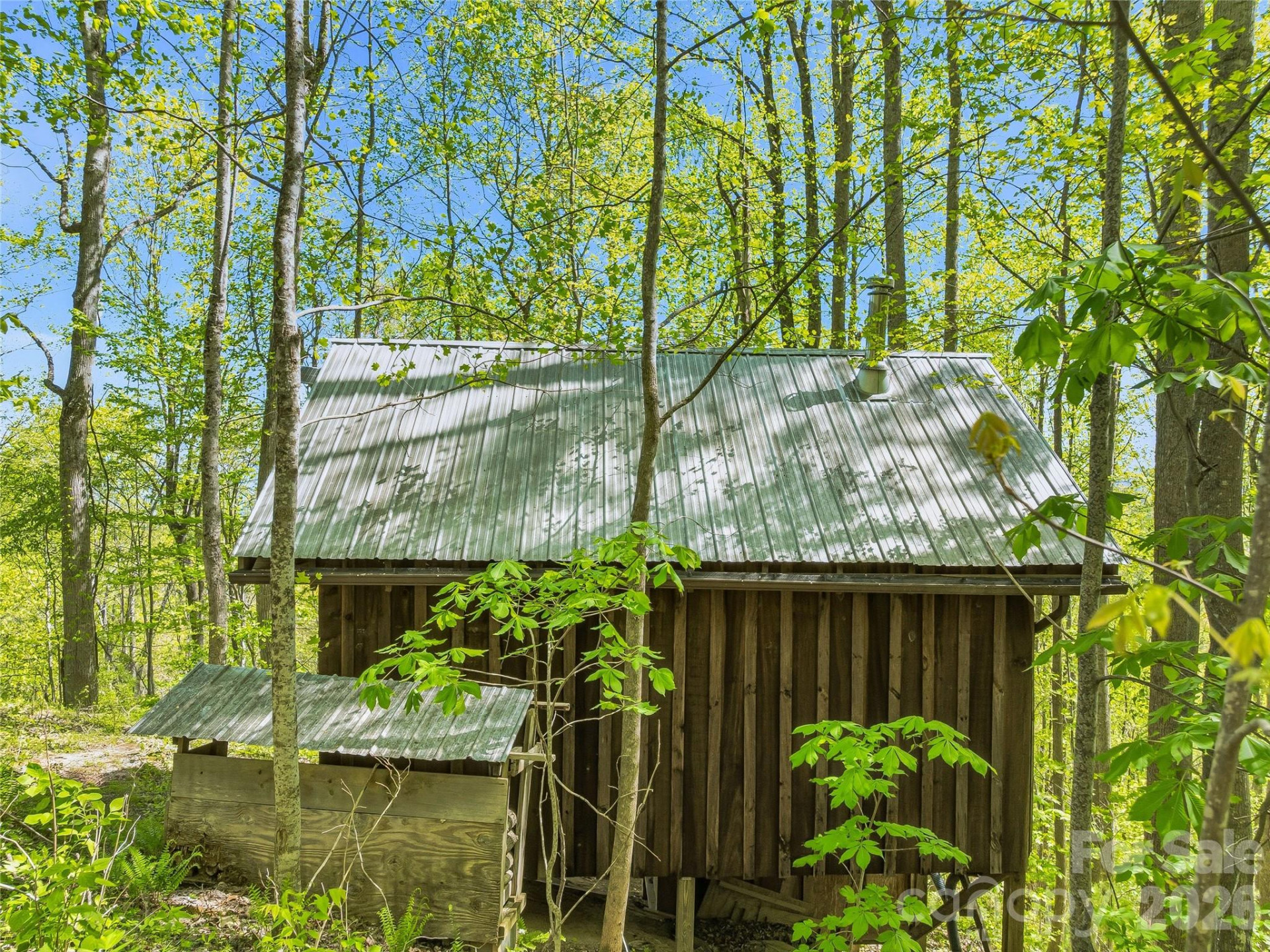 3167 Lumptown Road - Photo 6