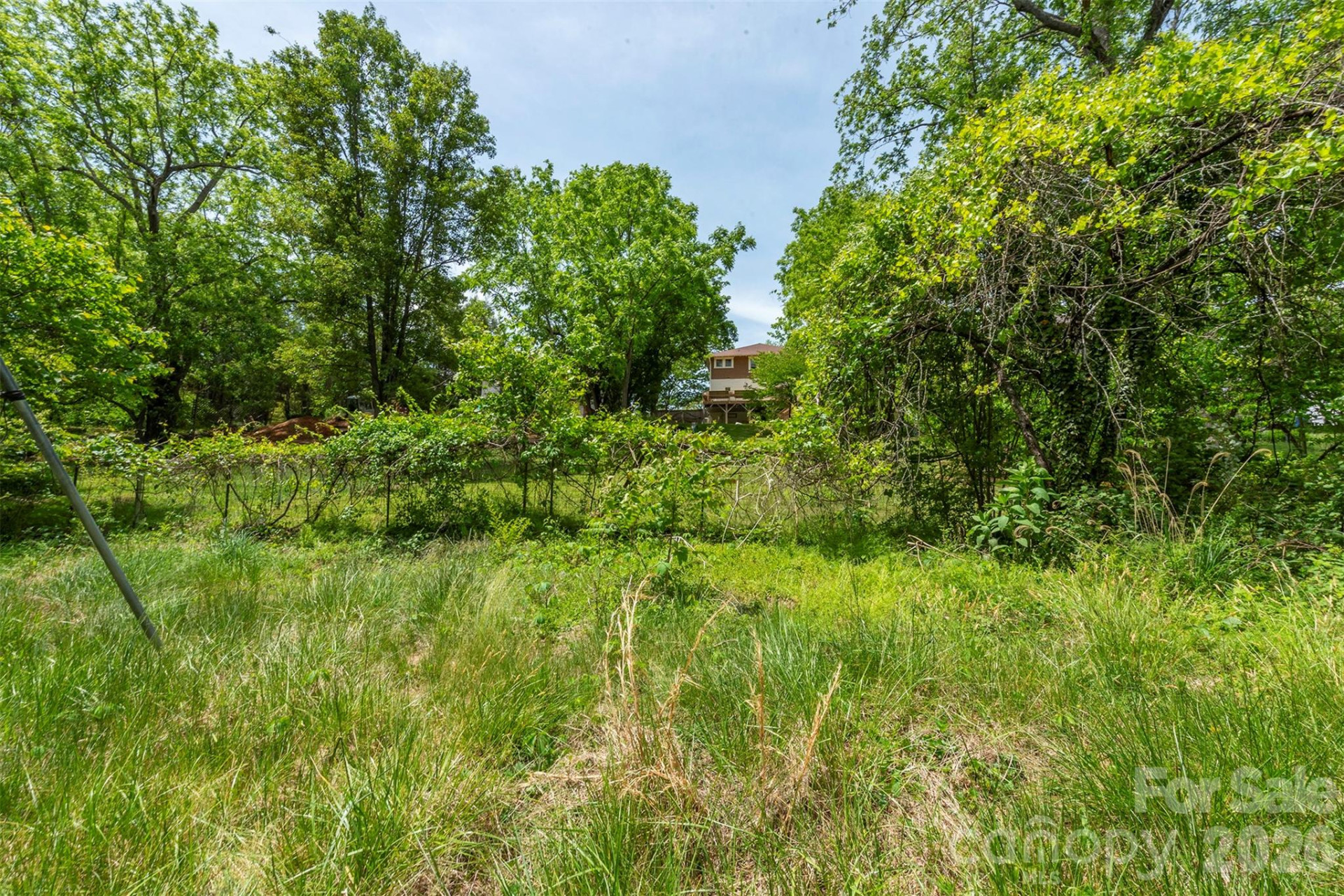 15 Greeley Street - Photo 5