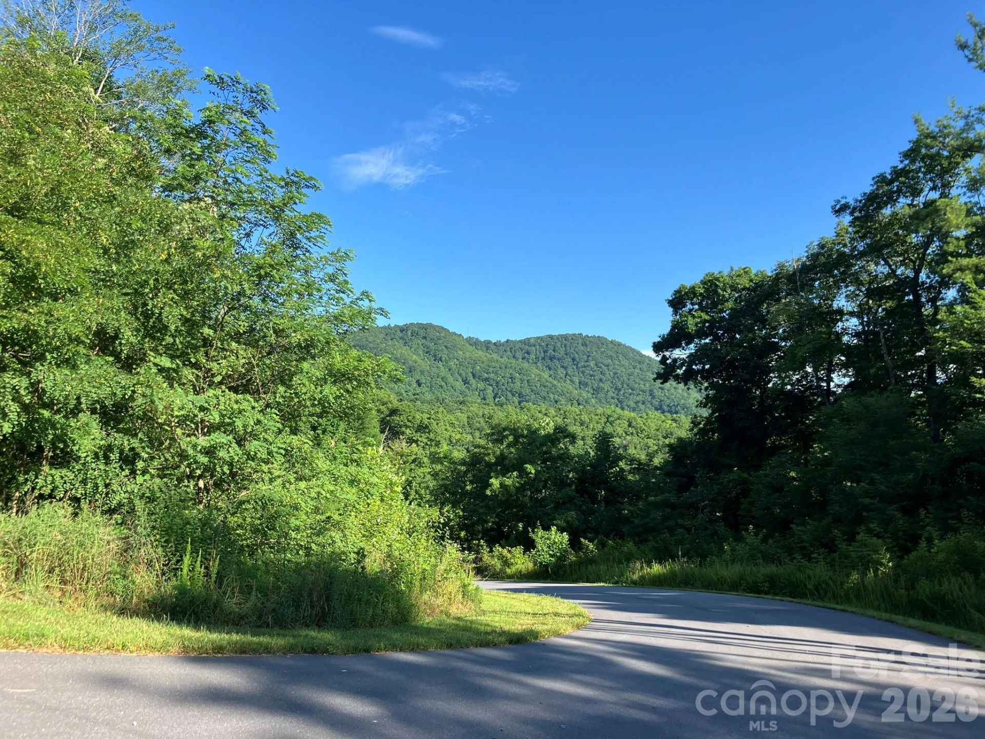 0 Grey Rock Parkway #225 - Photo 6