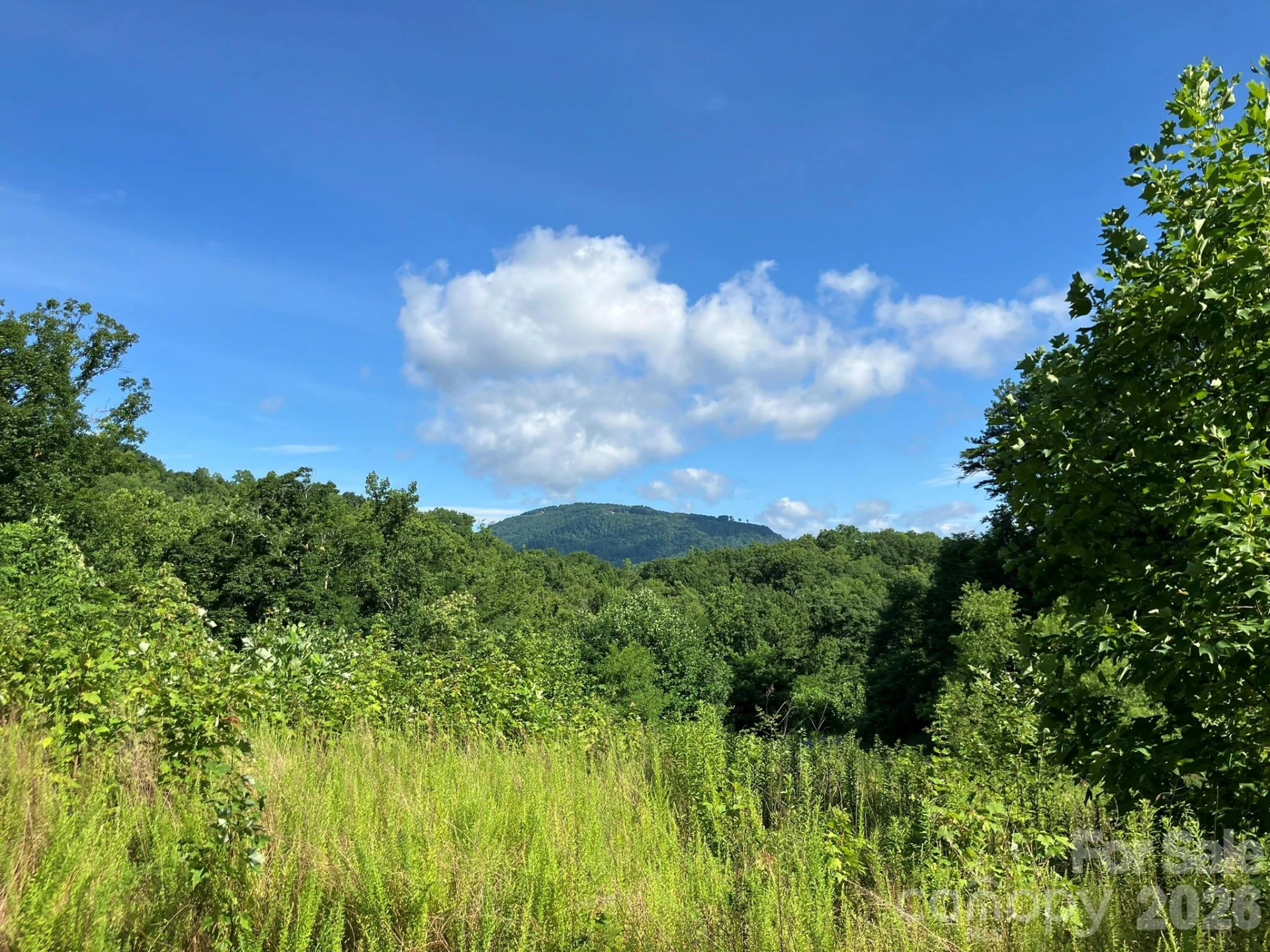 0 Grey Rock Parkway #225 - Photo 9