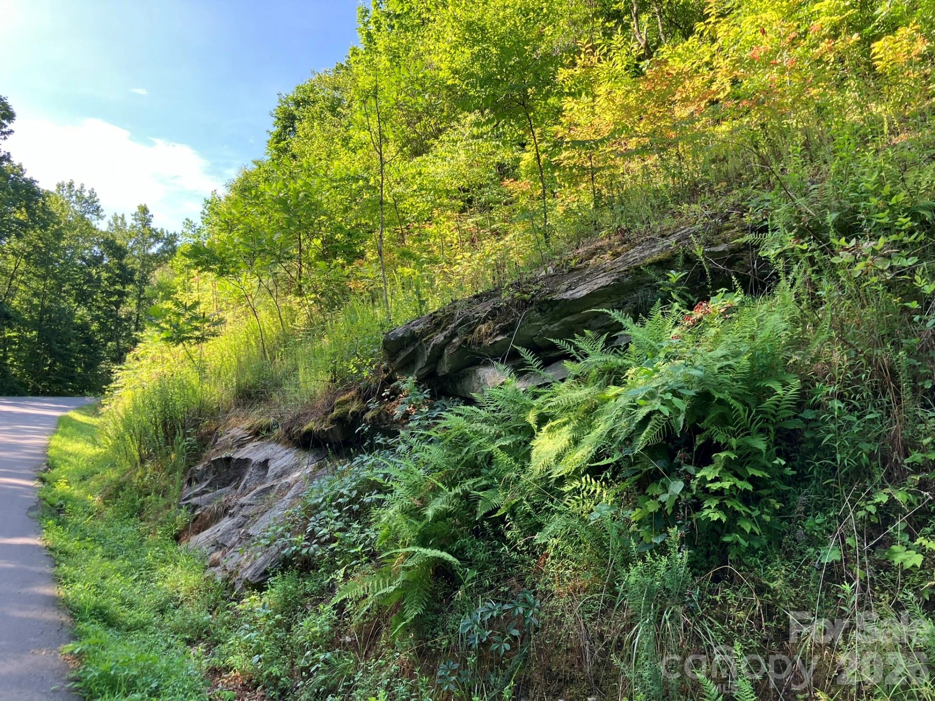 0 Rolling Ridge Trail #315 - Photo 11
