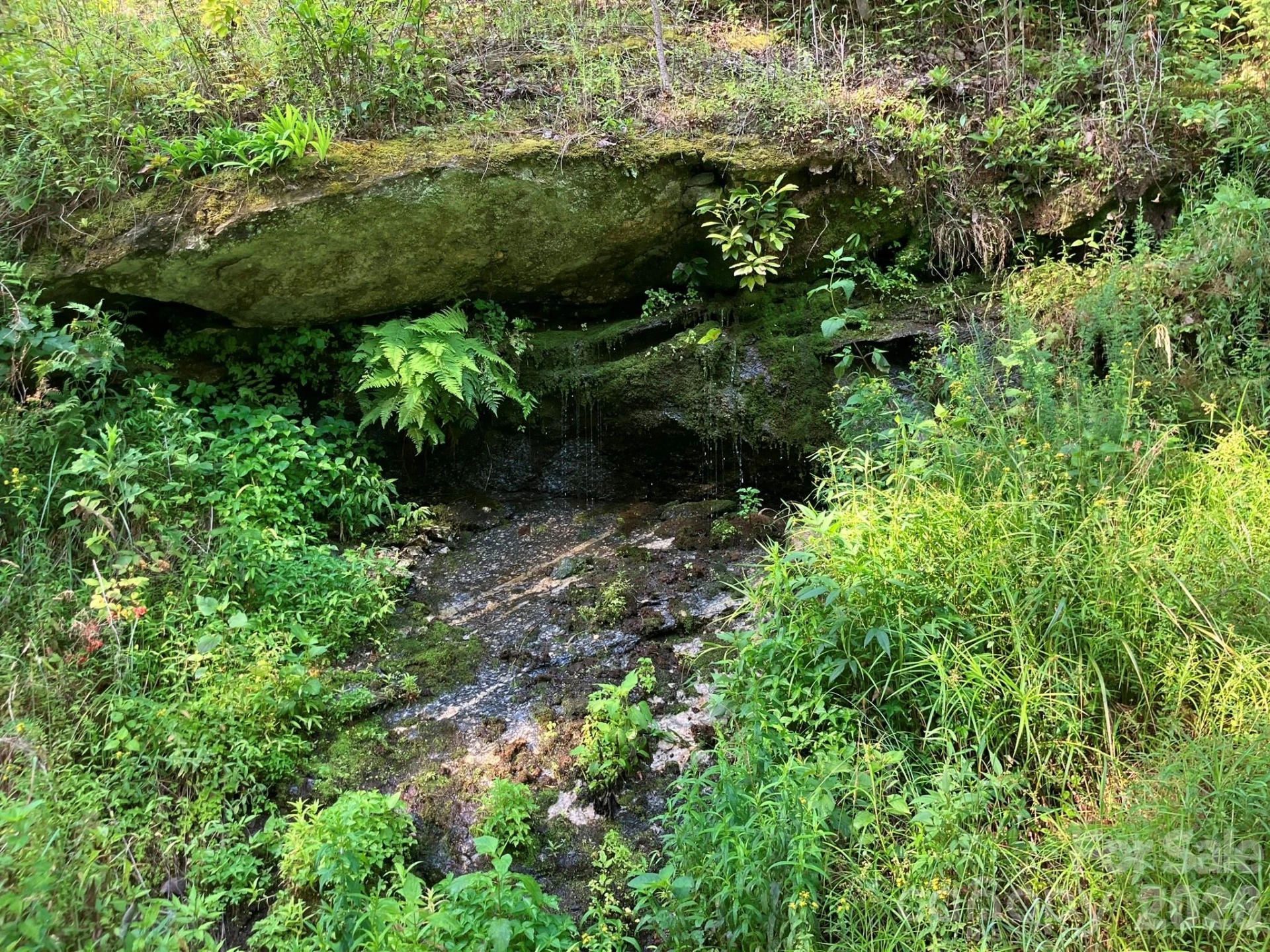 0 Rolling Ridge Trail #315 - Photo 10