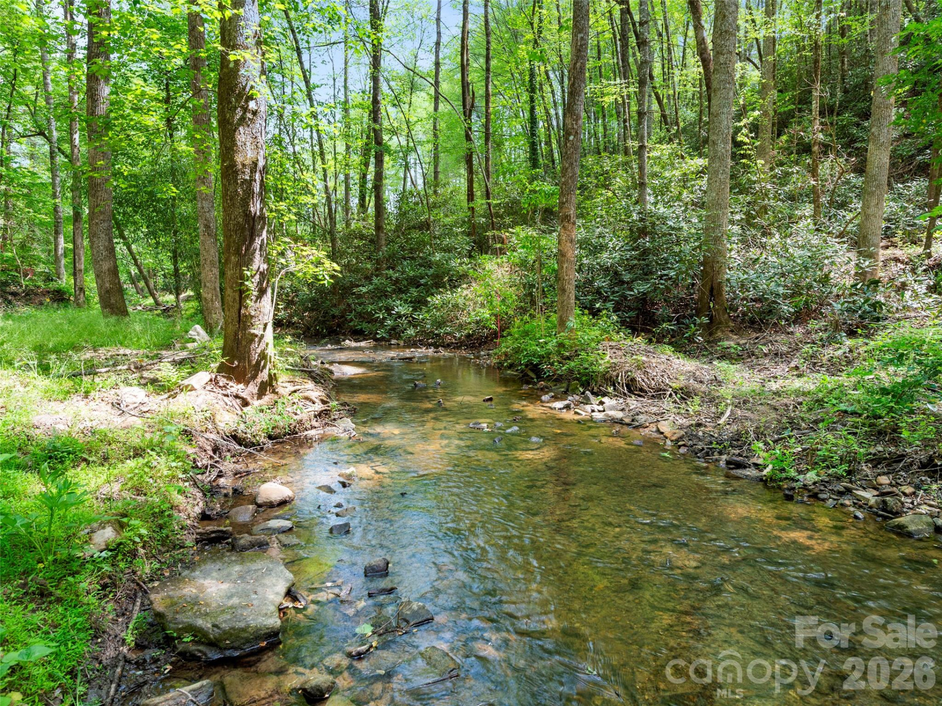 22 Delacy Drive - Photo 34