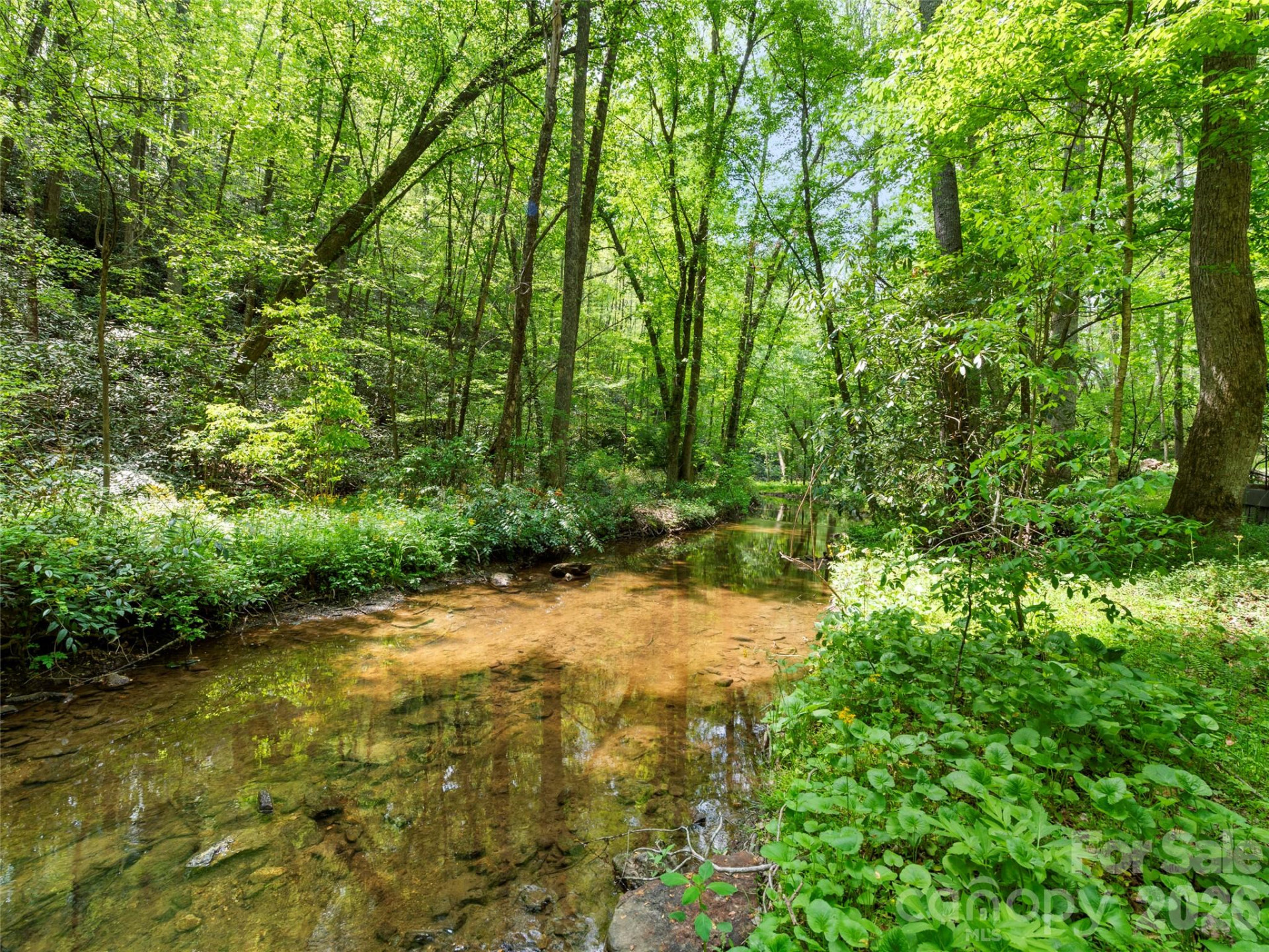 22 Delacy Drive - Photo 35