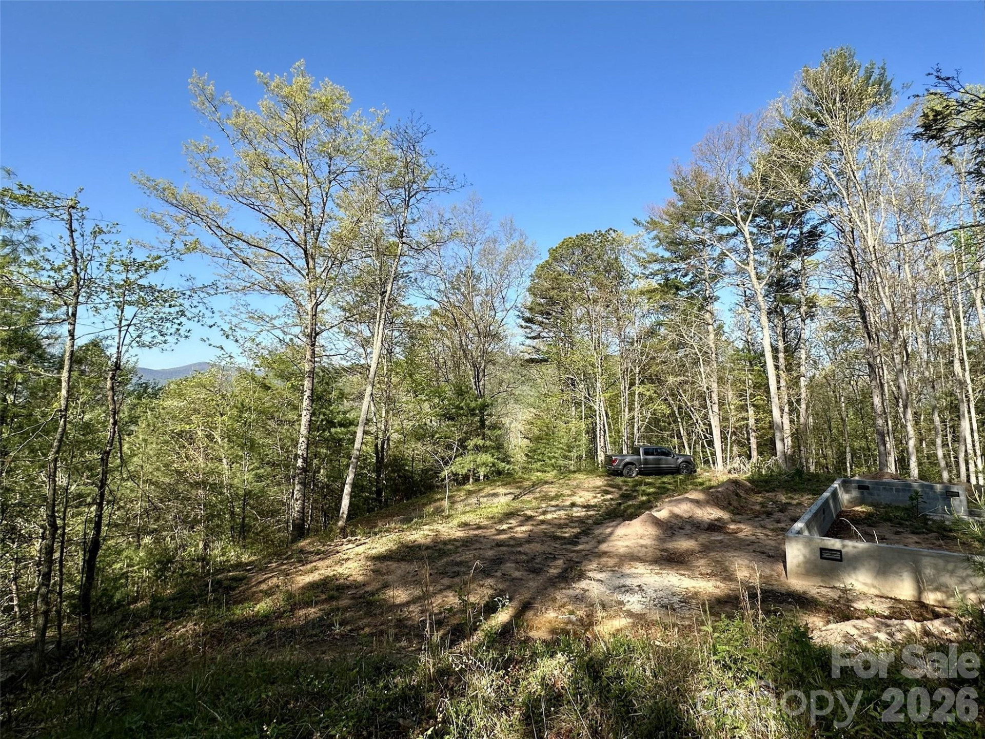 454 Dream Valley Drive - Photo 4