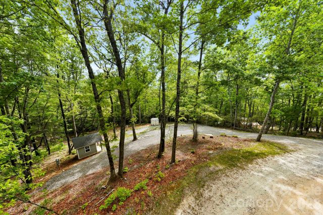 137 Bird Song Road