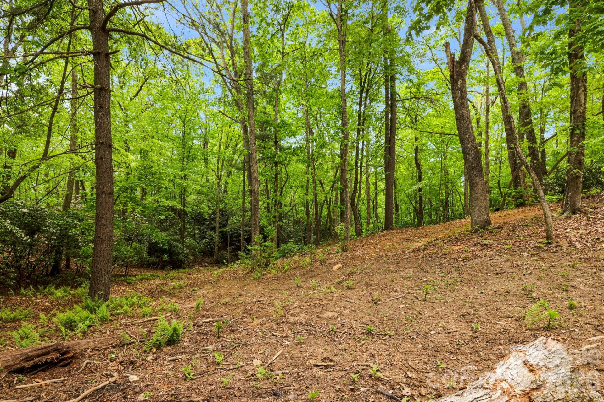 137 Bird Song Road #3 - Photo 11