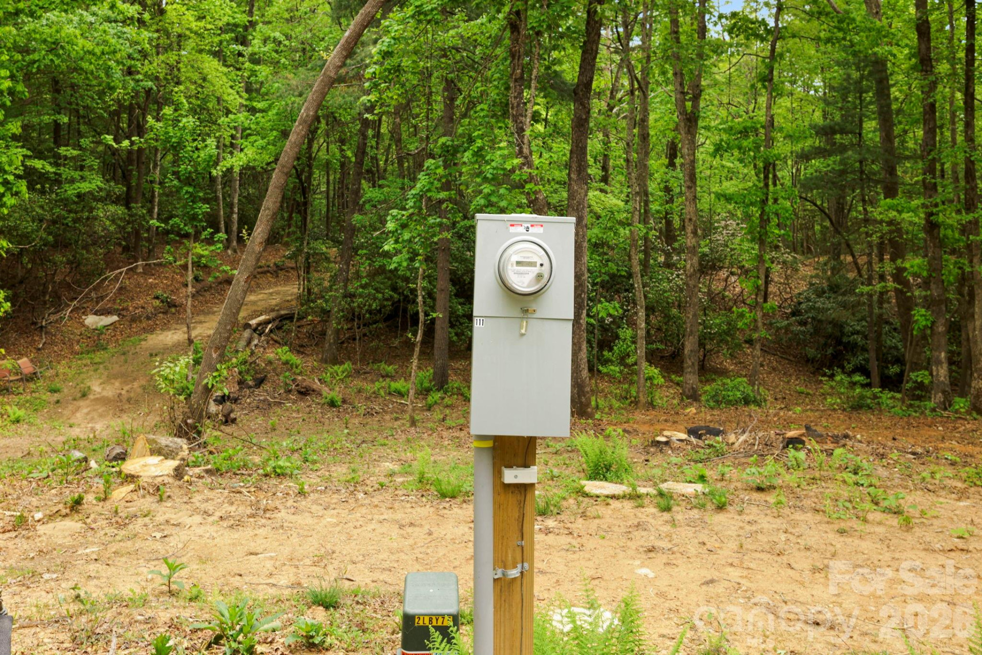 137 Bird Song Road #3 - Photo 7