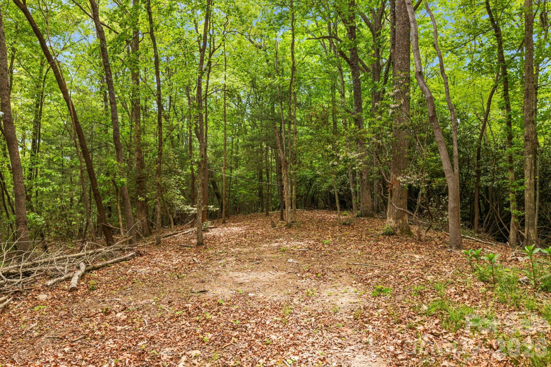 137 Bird Song Road #3 - Photo 10