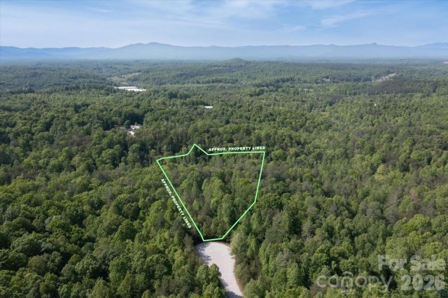 54 Perennial Drive, Nebo, NC, 28761