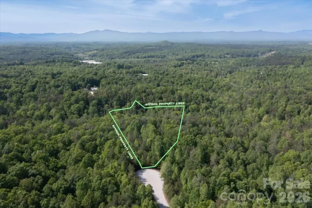 54 Perennial Drive, Nebo, NC, 28761