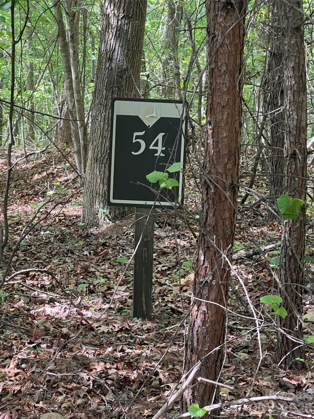 54 Perennial Drive #54 - Photo 11