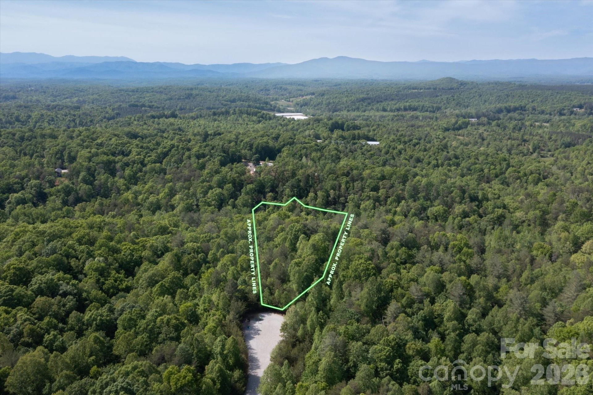 54 Perennial Drive #54 - Photo 3