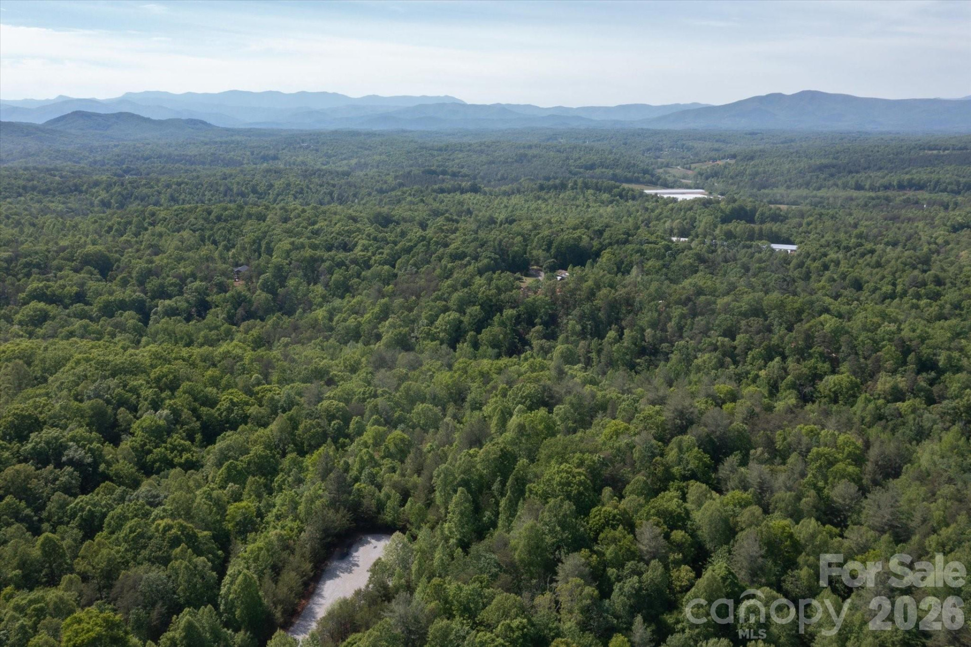 54 Perennial Drive #54 - Photo 5