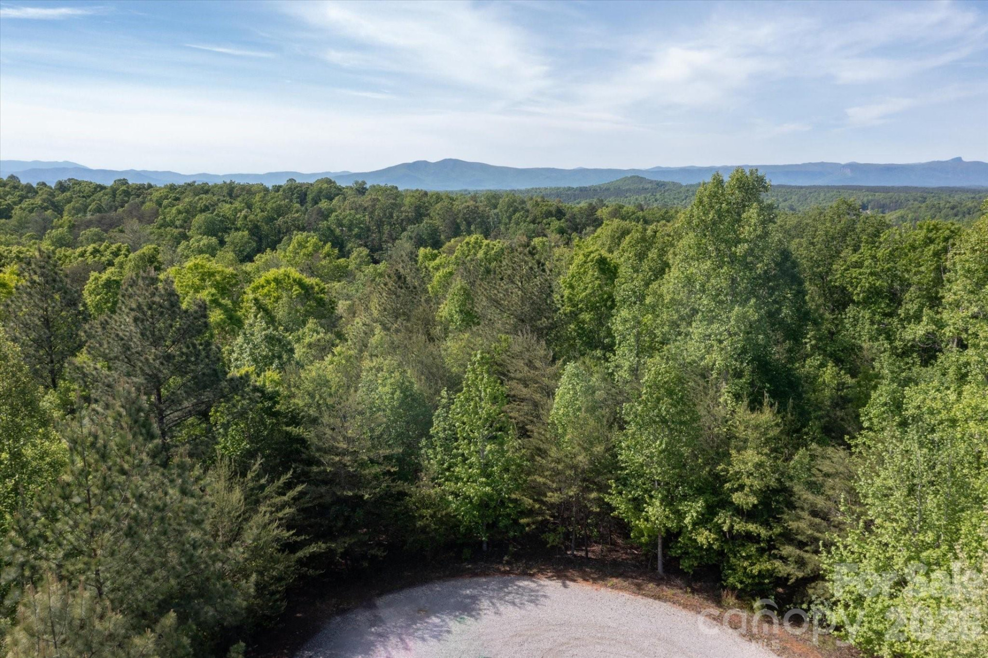 54 Perennial Drive #54 - Photo 7