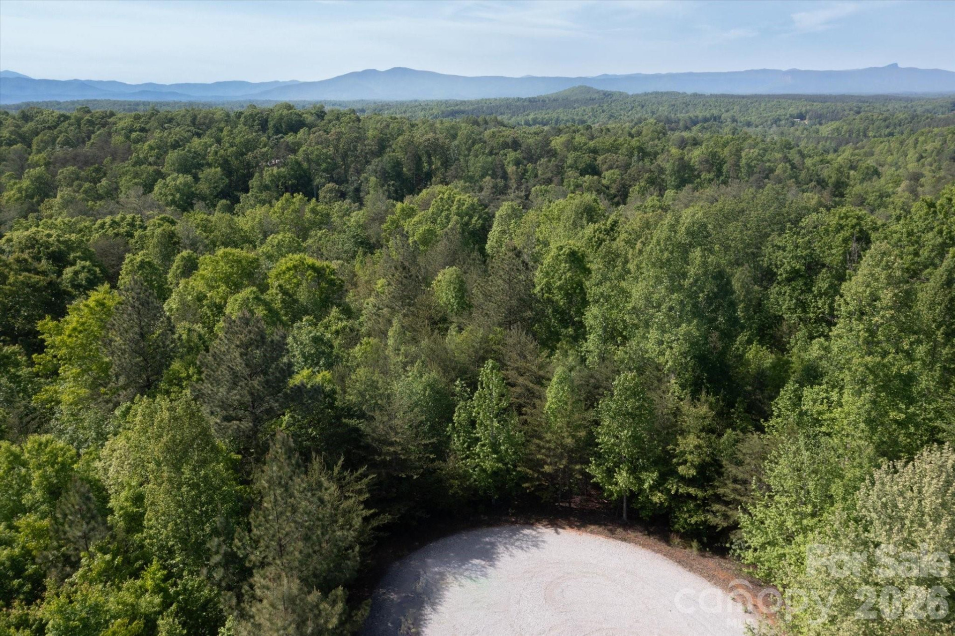 54 Perennial Drive #54 - Photo 8