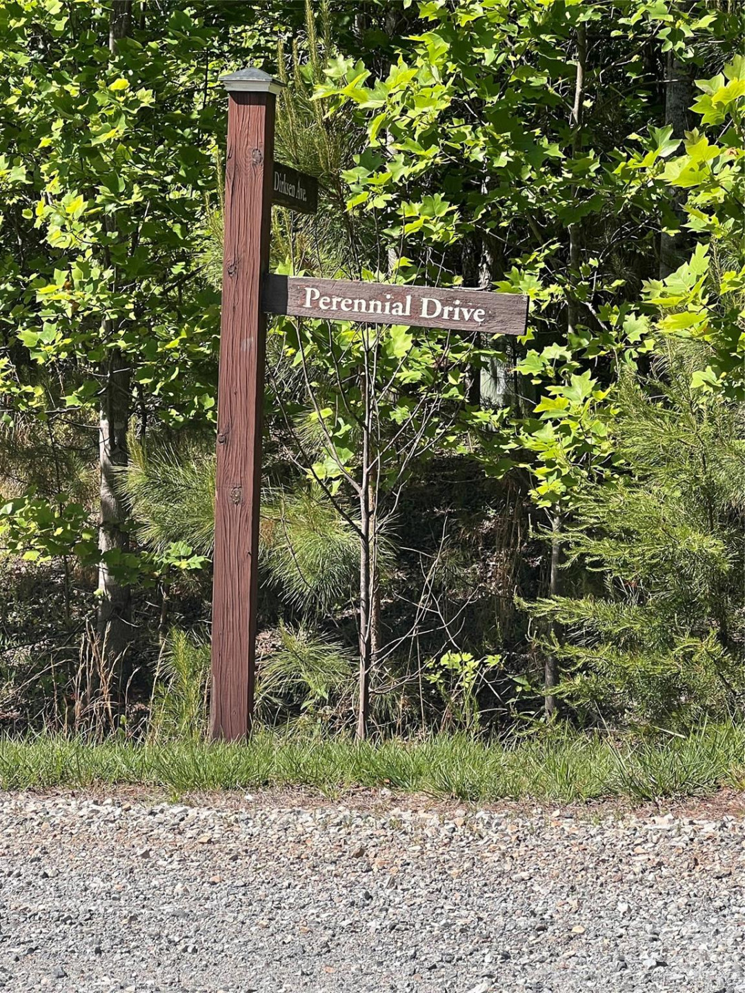 54 Perennial Drive #54 - Photo 10