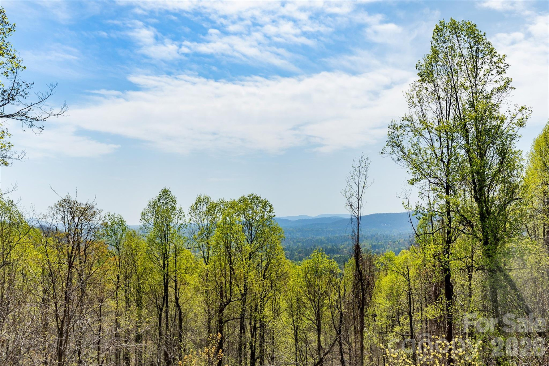 172 Sunny Ridge Road - Photo 46