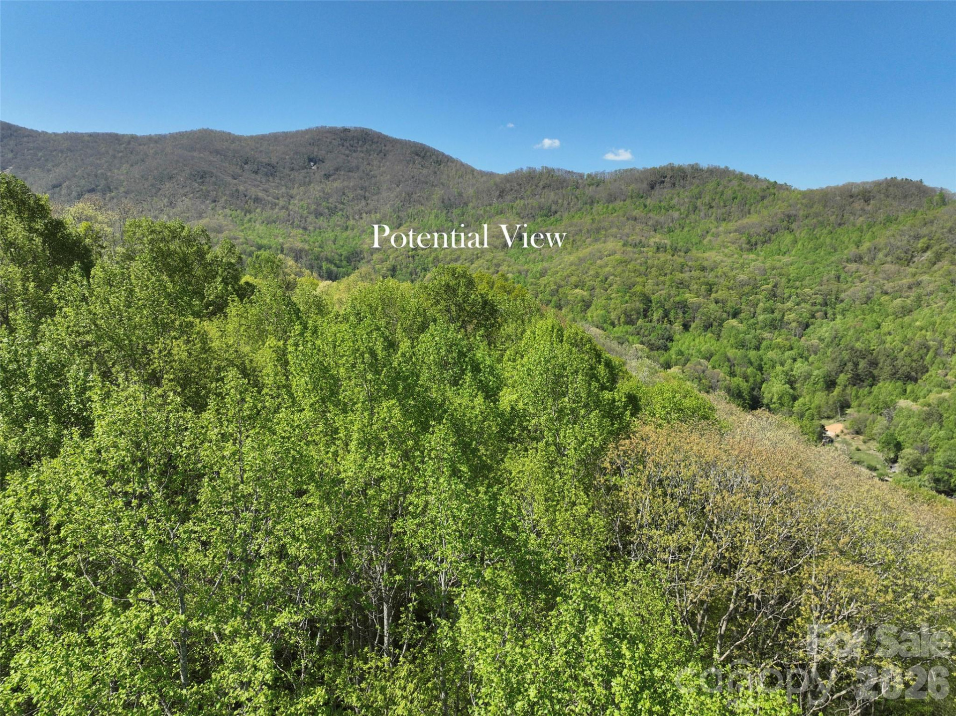 TBD Christy Lane - Photo 12