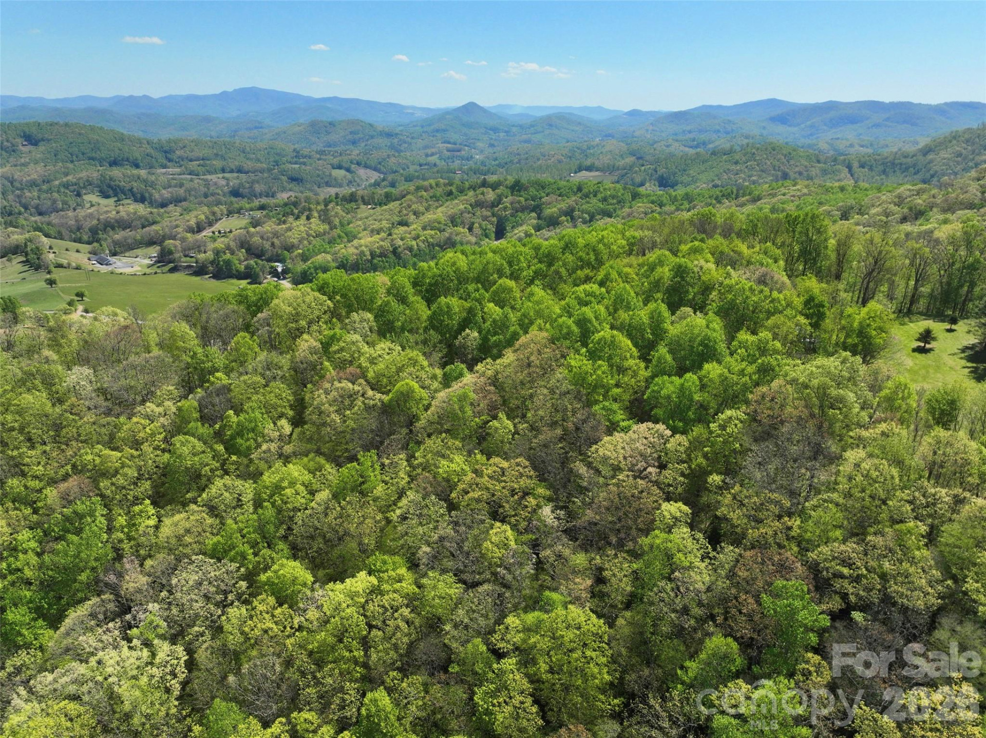 TBD Christy Lane - Photo 6