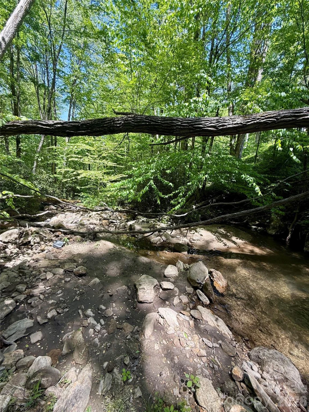 TBD Highway 107 None #Lot 1 - Photo 7