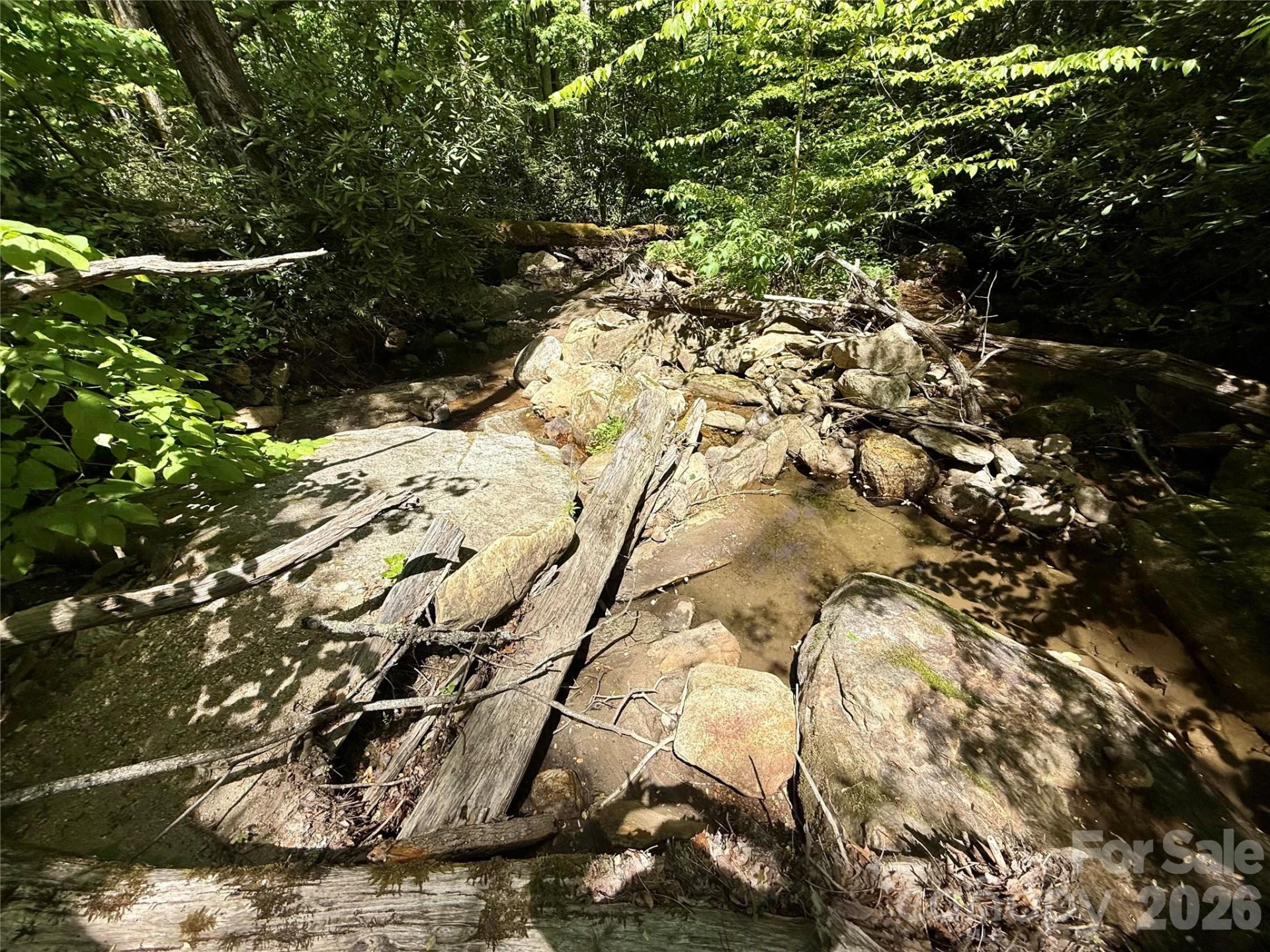 TBD Highway 107 None #Lot 1 - Photo 8