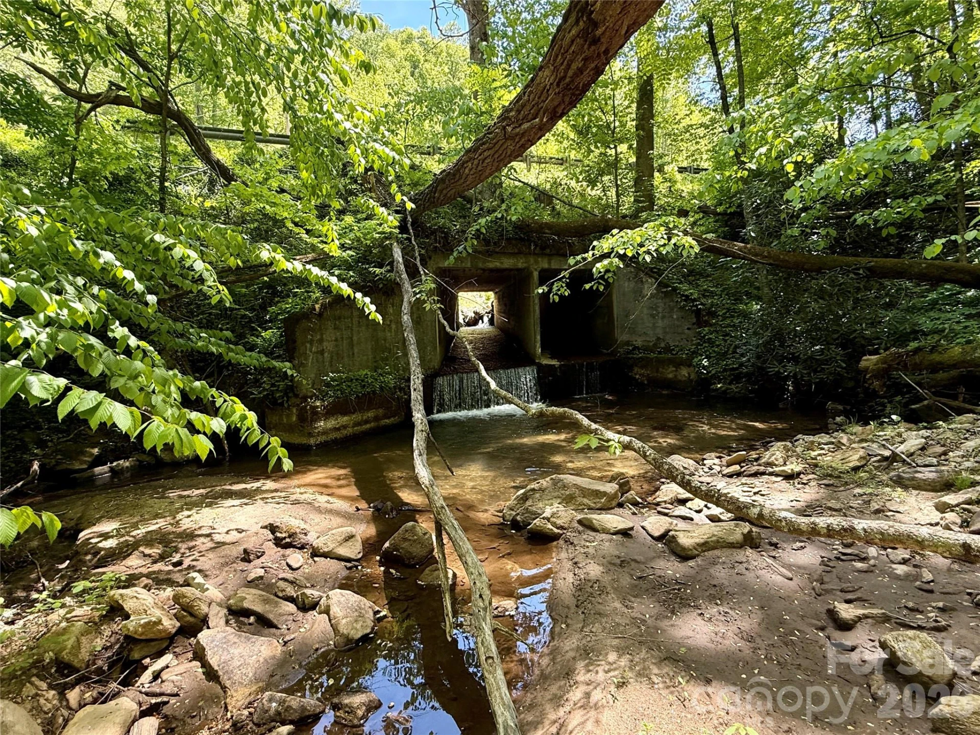TBD Highway 107 None #Lot 1 - Photo 9