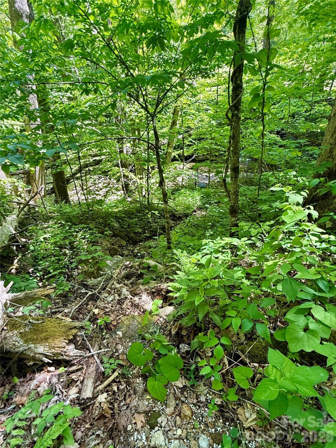 TBD Highway 107 None #Lot 1 - Photo 10