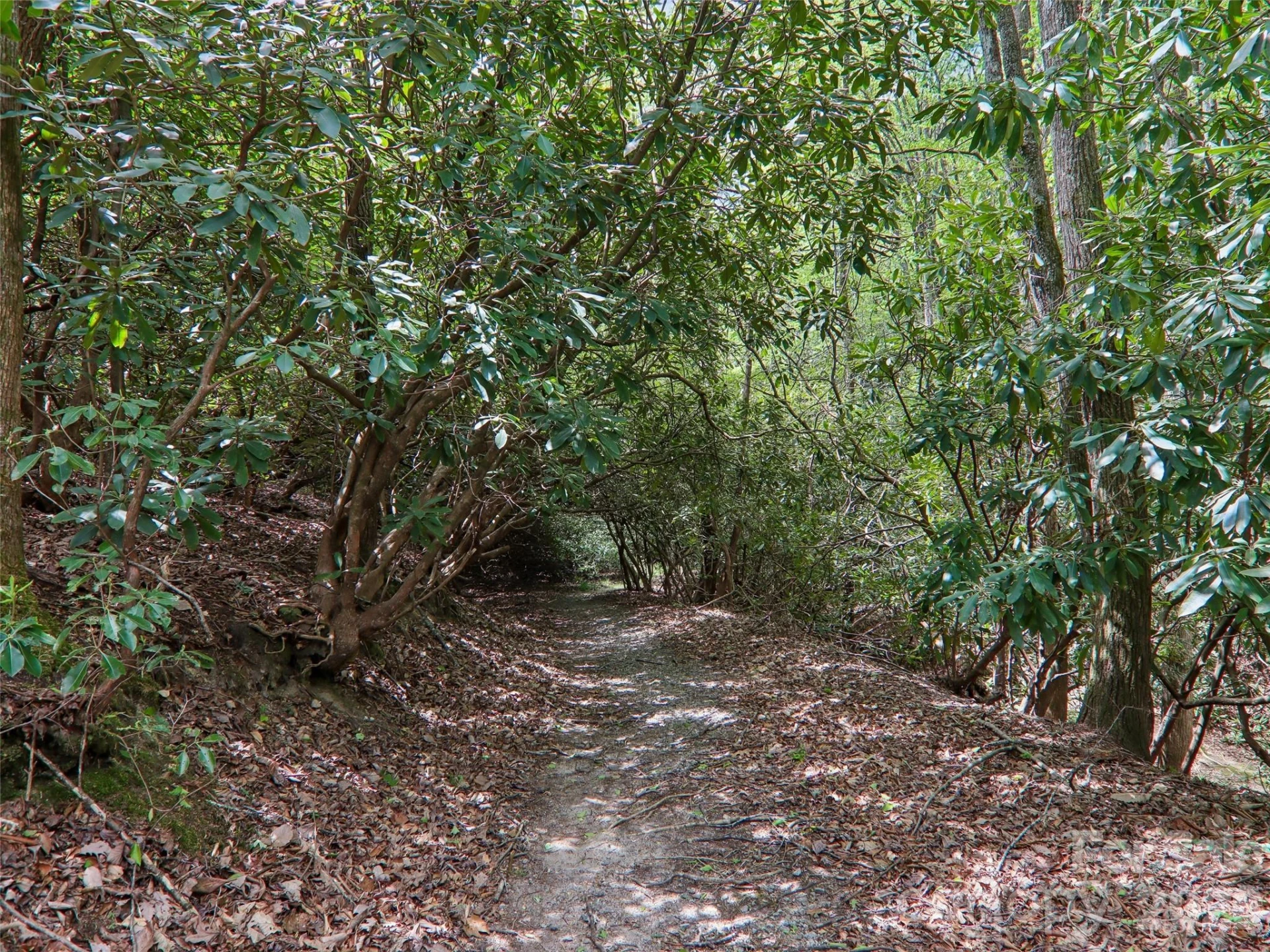 554 Pisgah Forest Drive - Photo 44