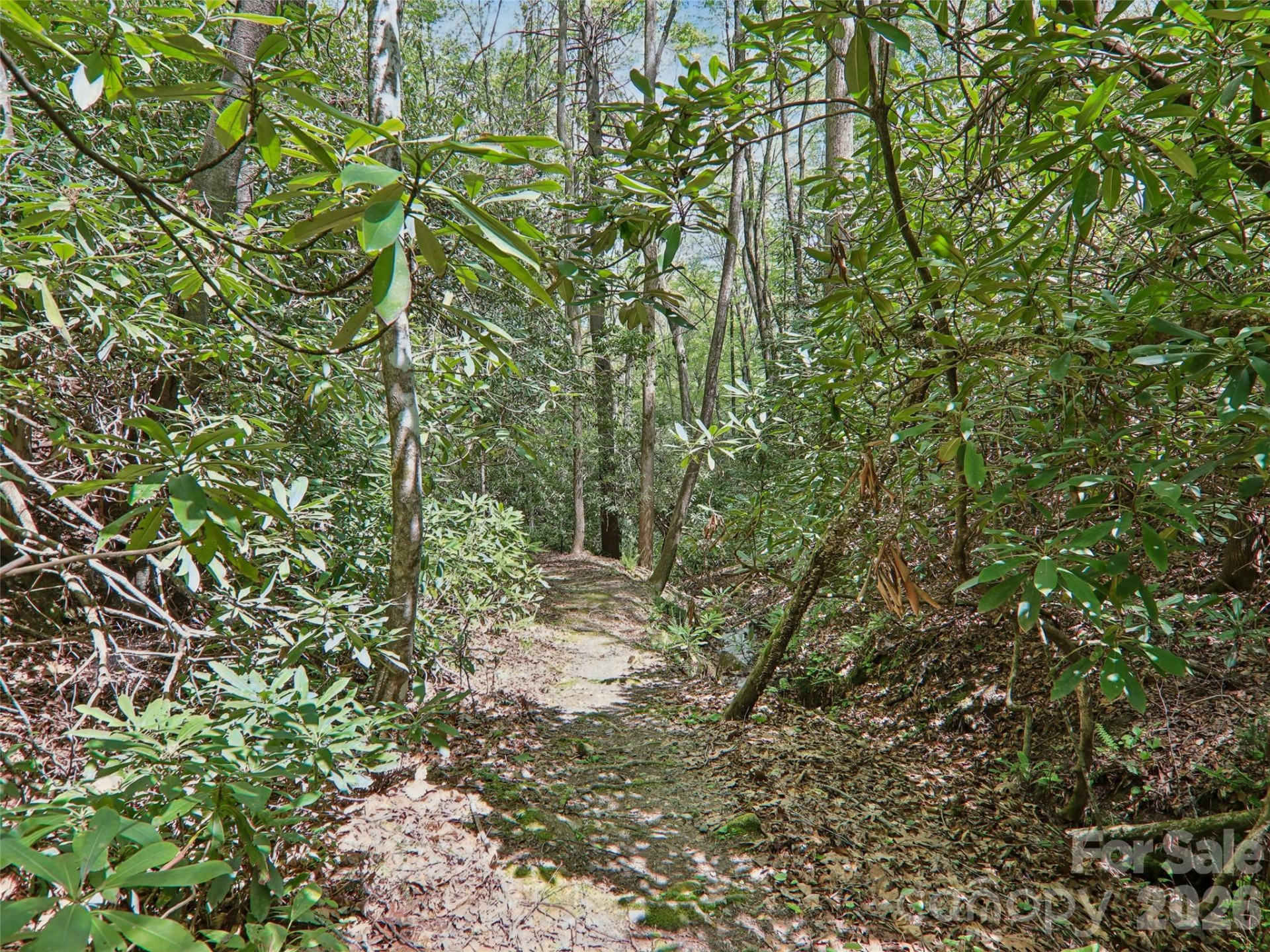 554 Pisgah Forest Drive - Photo 46