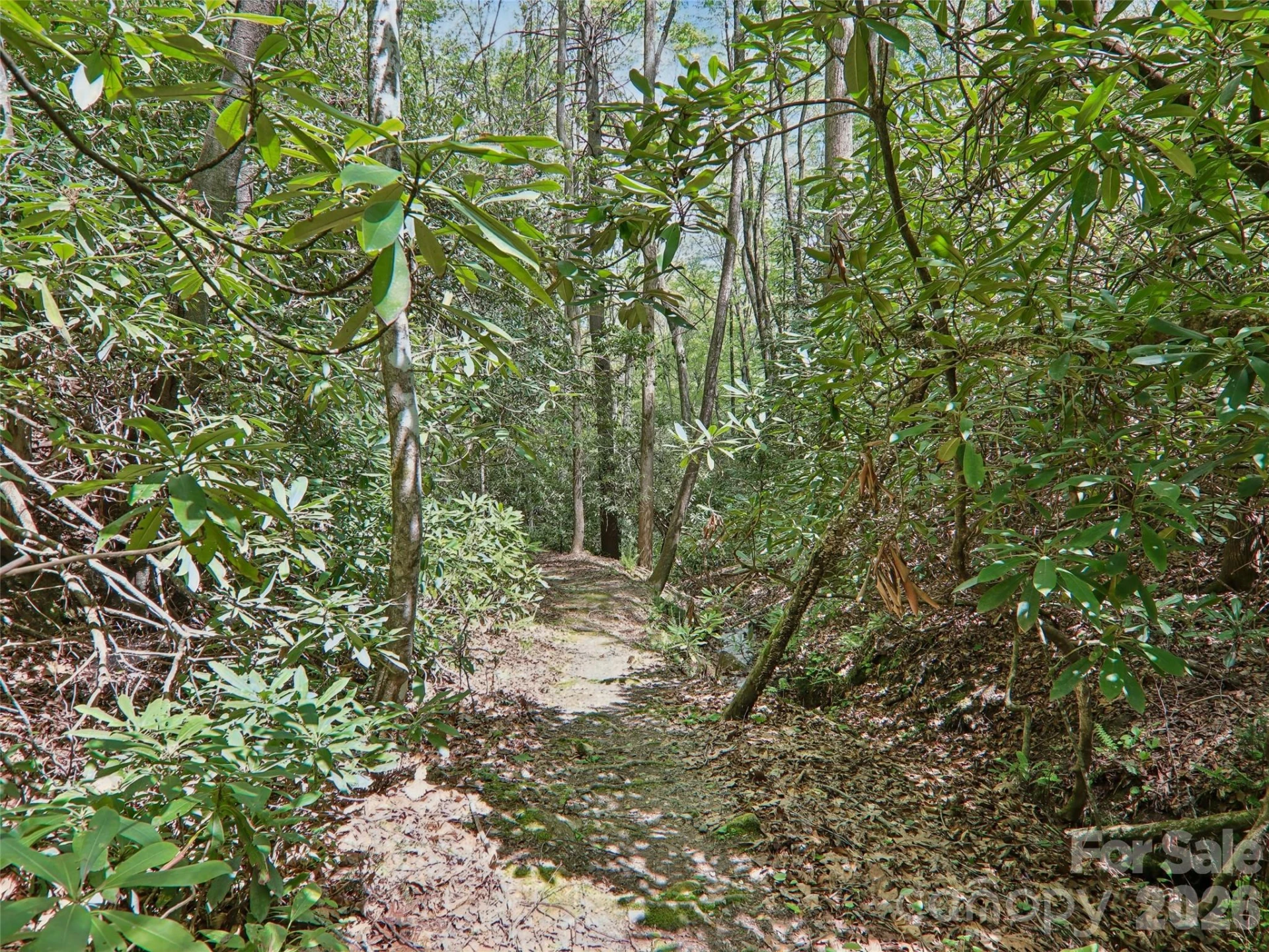 554 Pisgah Forest Drive - Photo 46