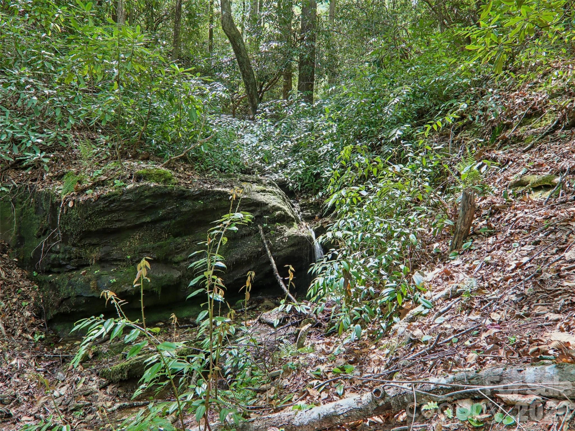 554 Pisgah Forest Drive - Photo 47