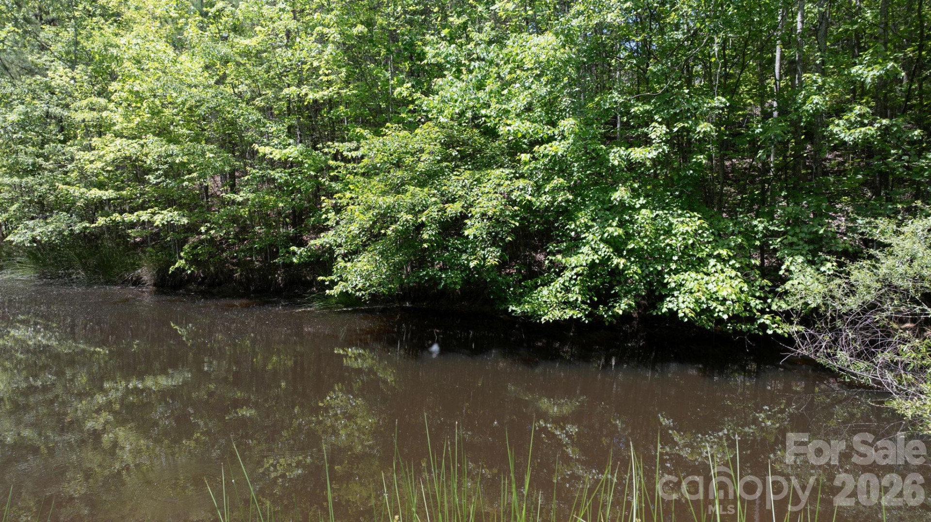 7008 Peyronel Street - Photo 42