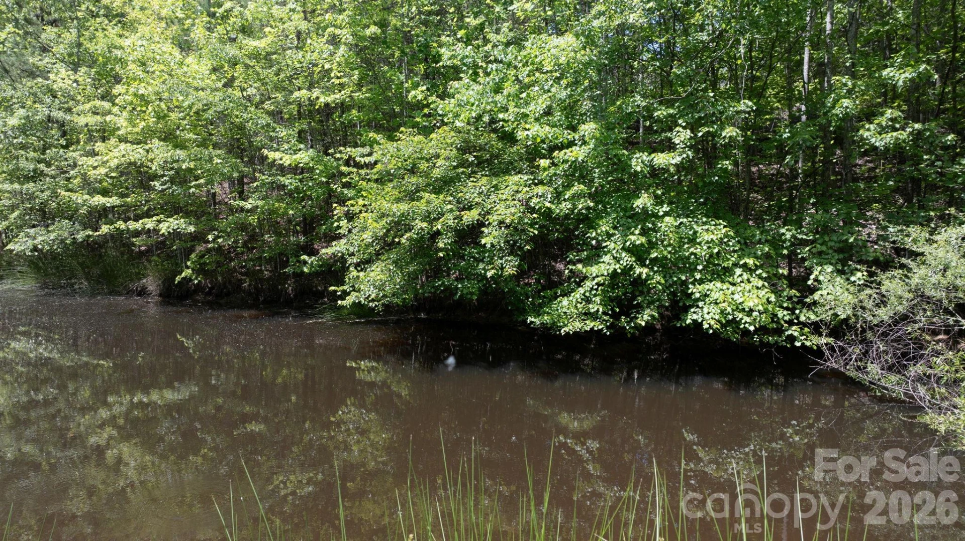7008 Peyronel Street - Photo 42