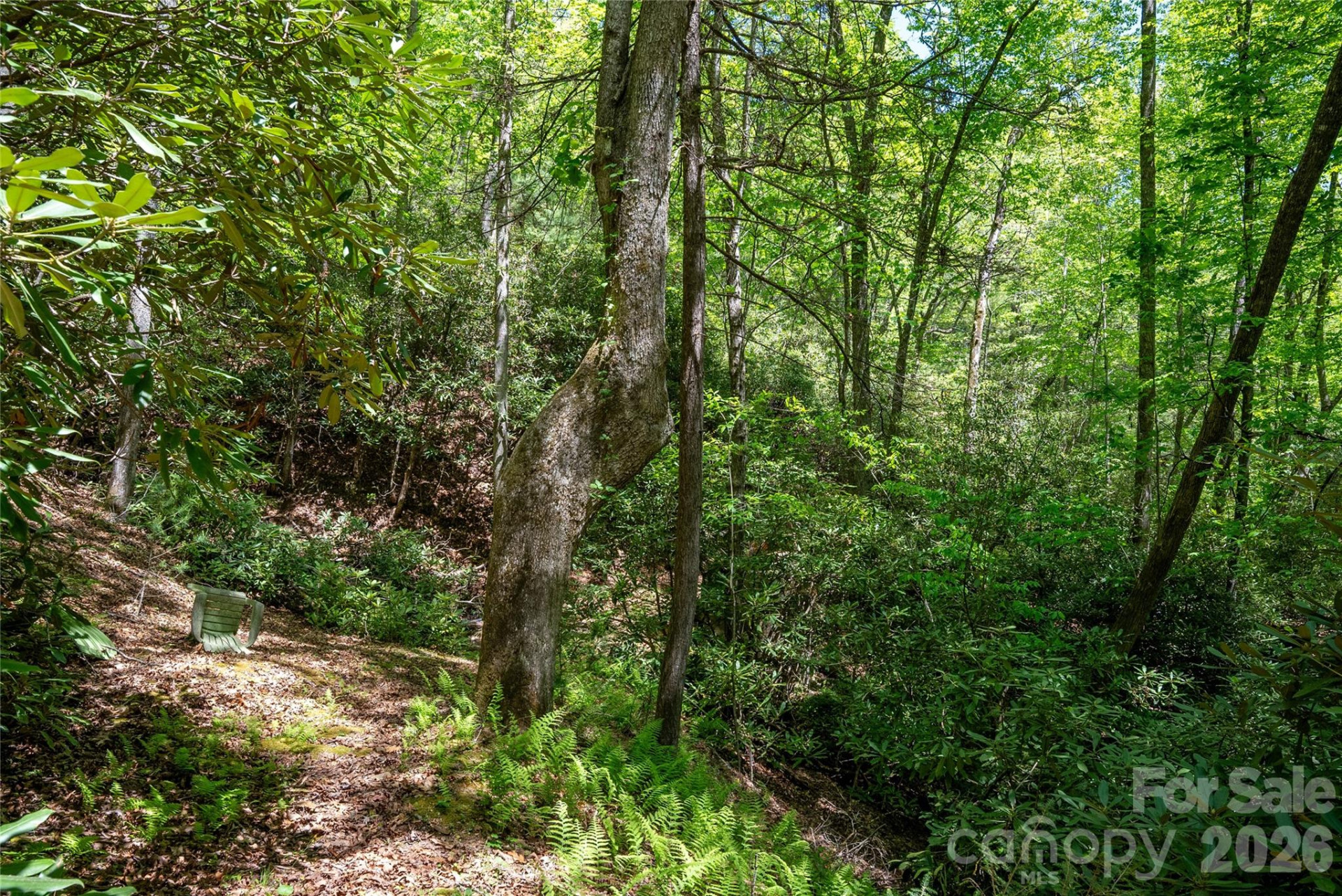 TBD Springhouse Trail #L15 - Photo 14