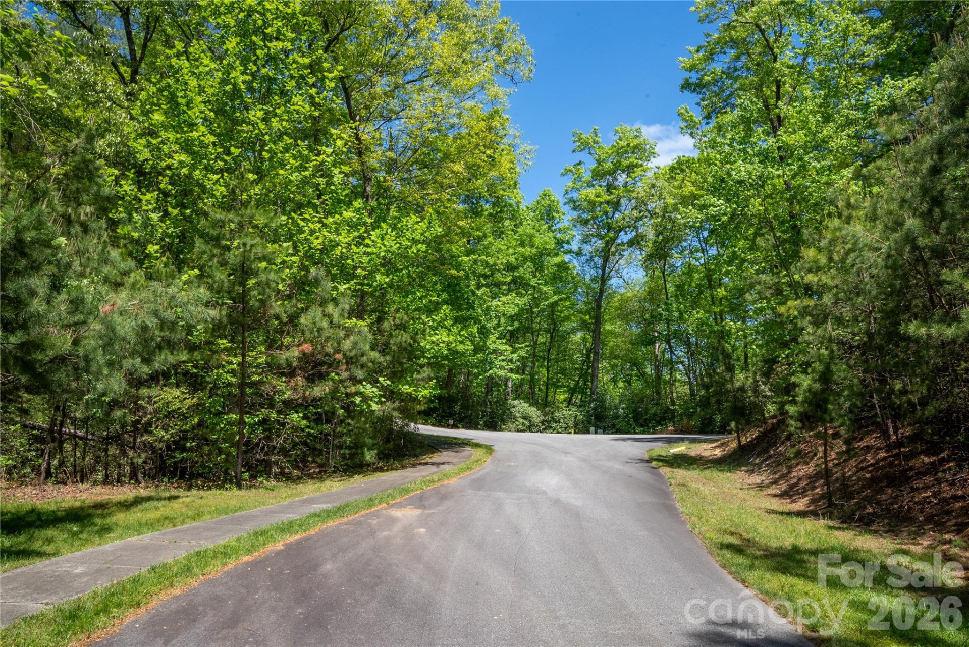 TBD Springhouse Trail #L15 - Photo 7