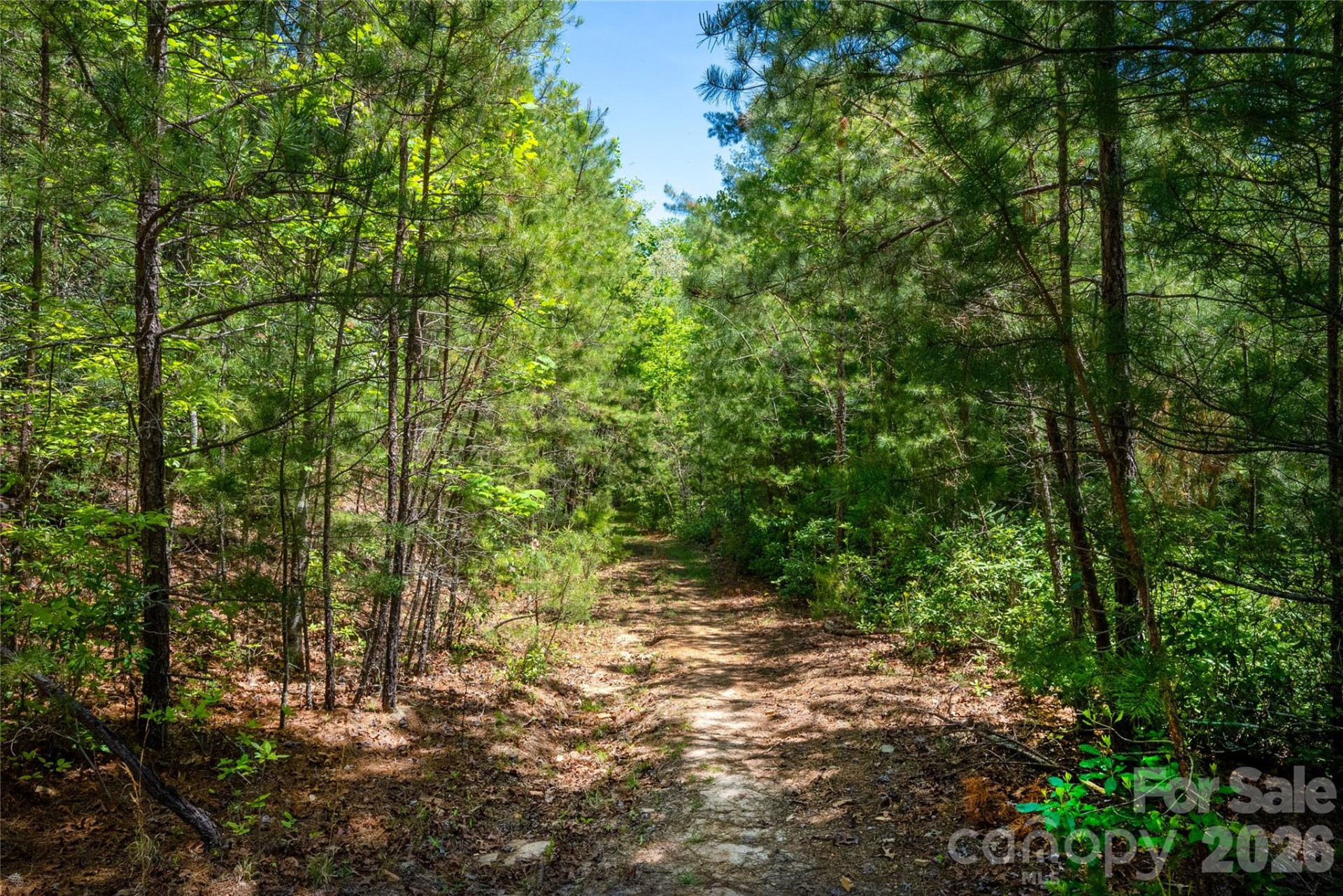 TBD Springhouse Trail #L15 - Photo 8