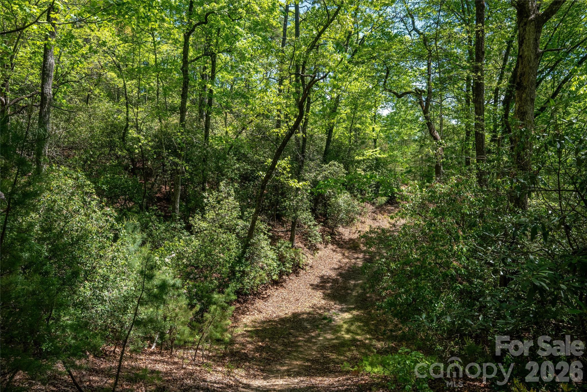 TBD Springhouse Trail #L15 - Photo 9