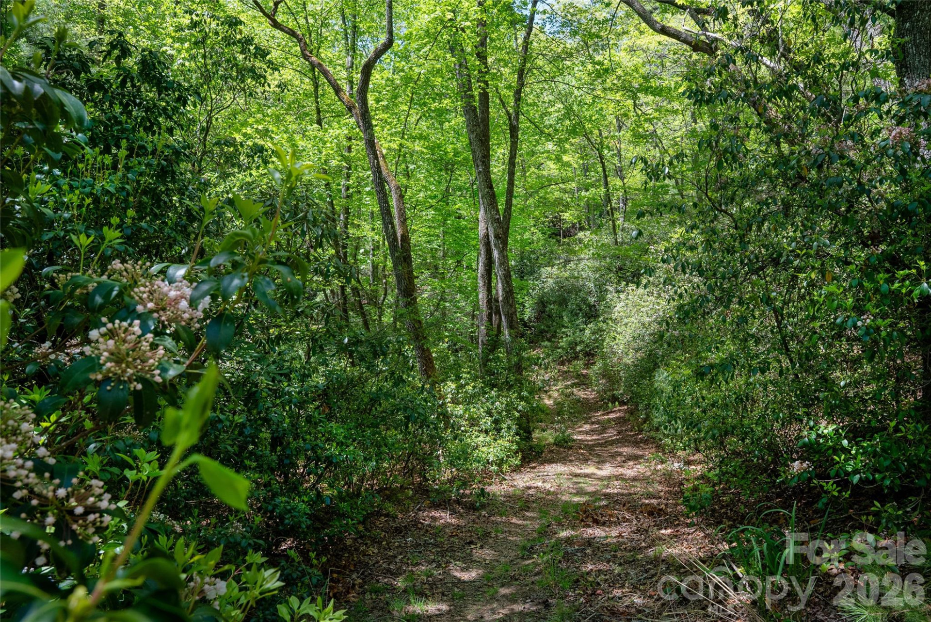 TBD Springhouse Trail #L15 - Photo 10