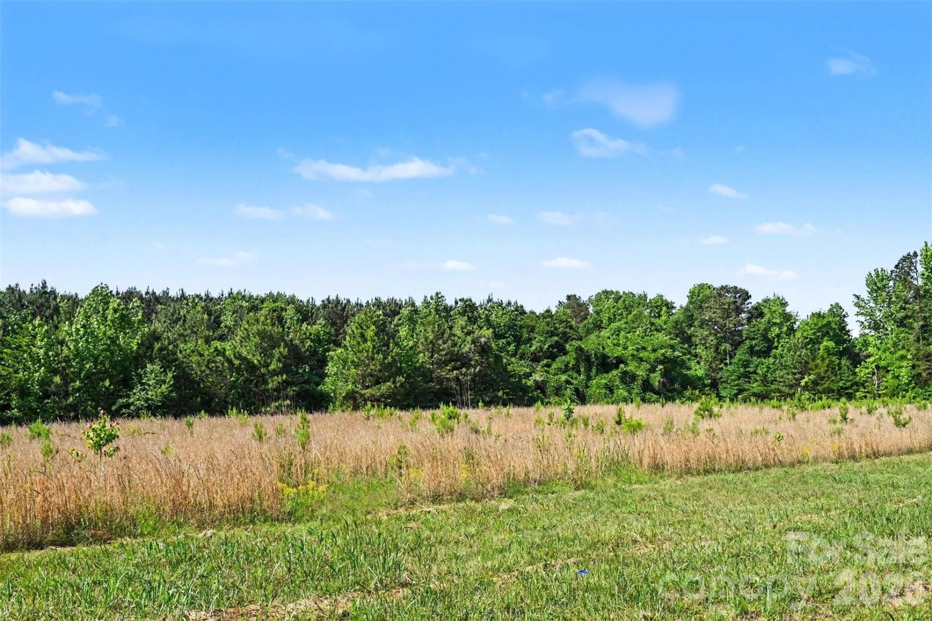 1013 Caldwell Street - Photo 11