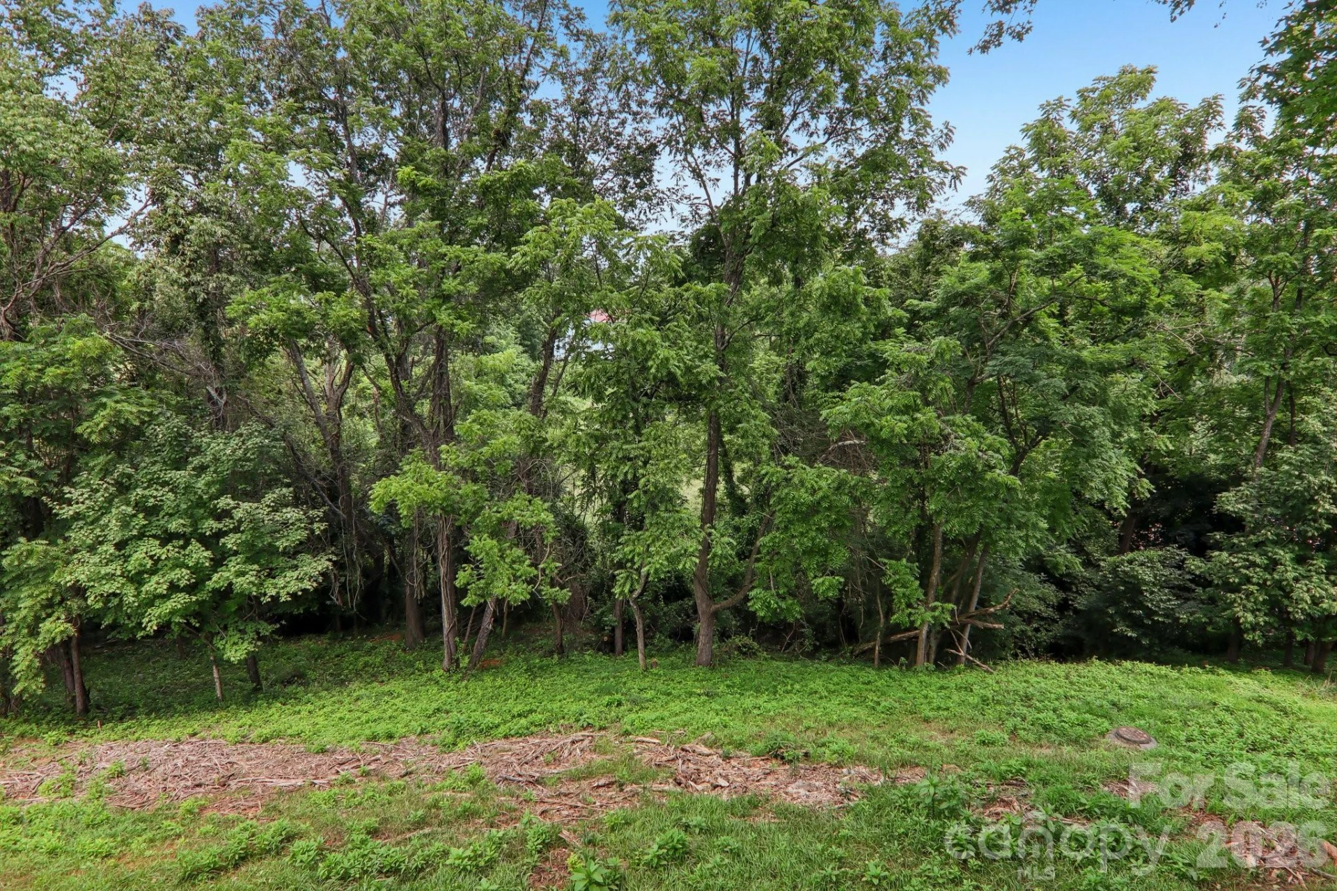 124 N Main Street - Photo 37