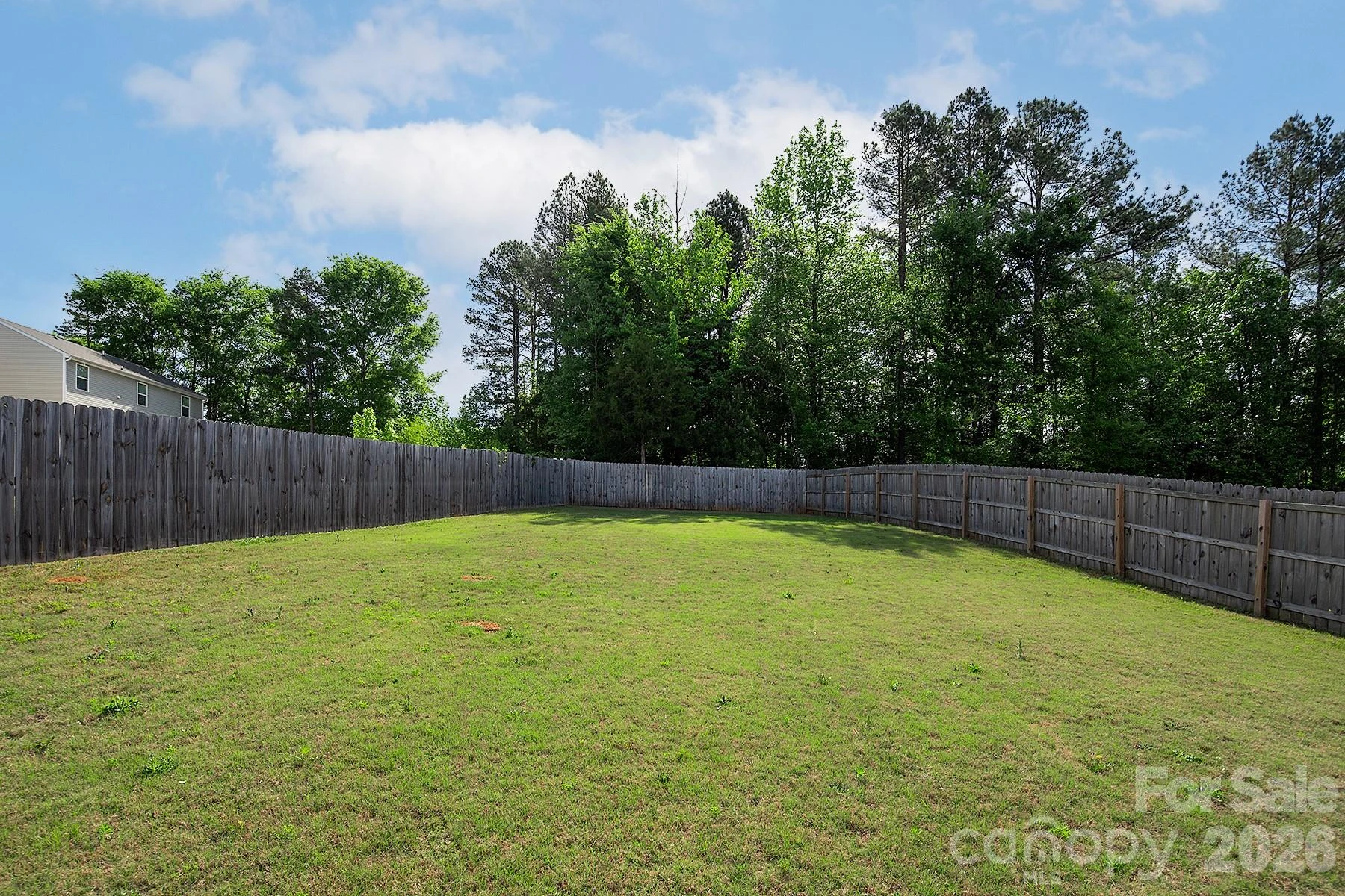 2458 Thorn Spring Lane - Photo 44