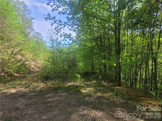 99999 Wolverine Court, Waynesville, NC, 28785