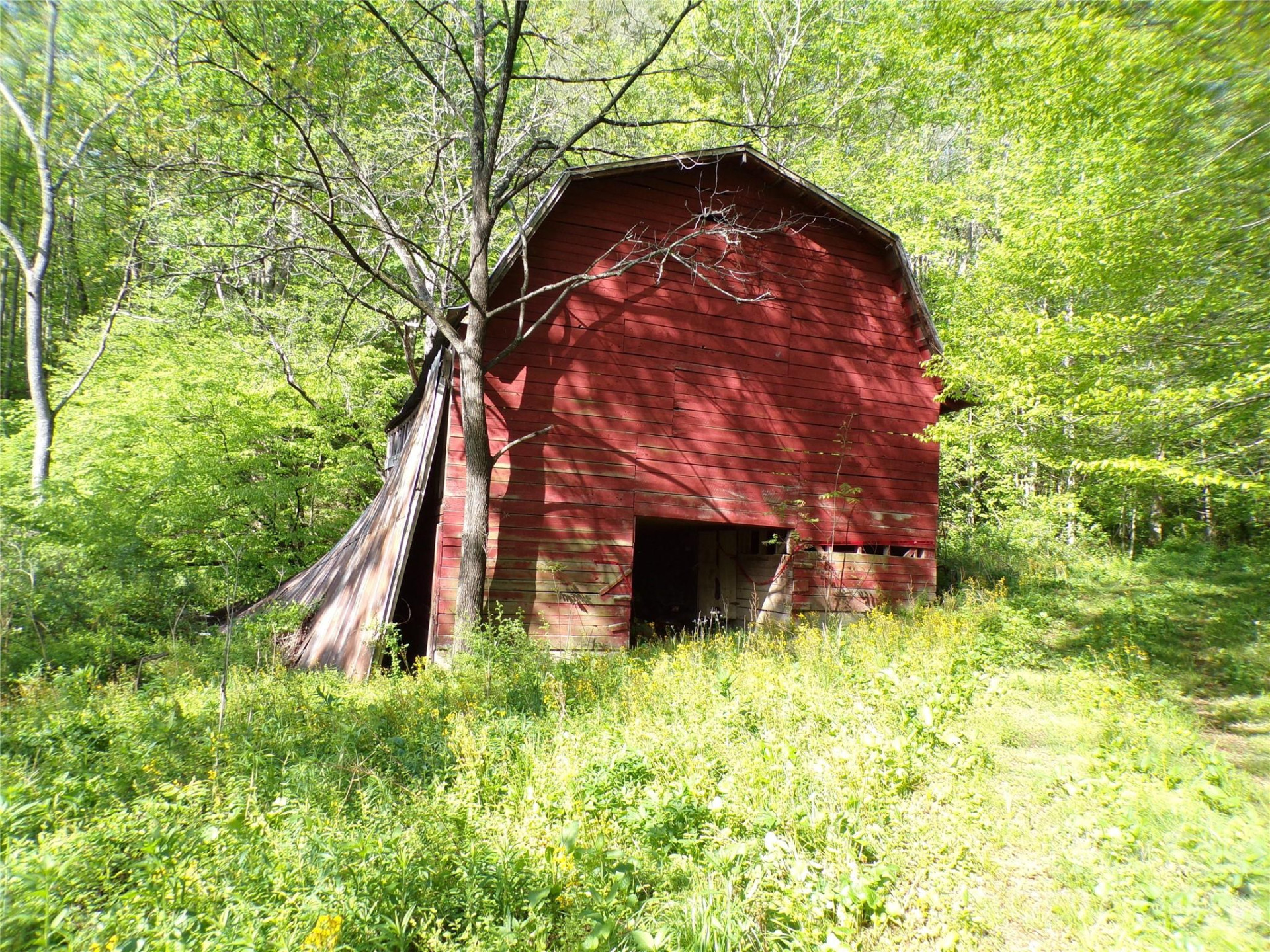 145 Kirk Drive - Photo 15